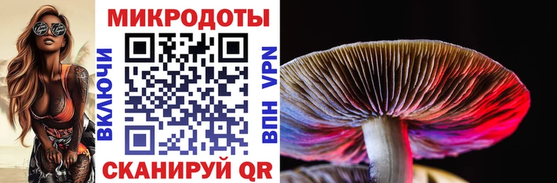 закладки  Аксай  Галлюциногенные грибы Psilocybine cubensis 