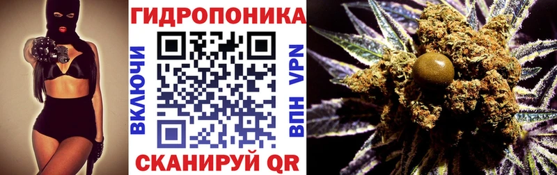 omg рабочий сайт  Аксай  Бошки Шишки ГИДРОПОН 